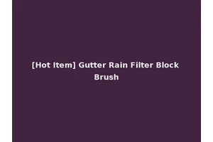 [Hot Item] Gutter Rain Filter Block Brush