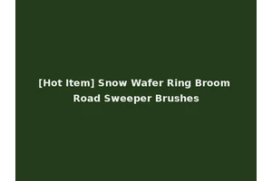 [Hot Item] Snow Wafer Ring Broom Road Sweeper Brushes