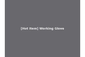 [Hot Item] Working Glove