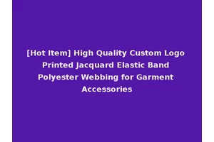 [Hot Item] High Quality Custom Logo Printed Jacquard Elastic Band Polyester Webbing for Garment Accessories