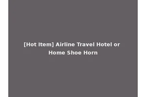 [Hot Item] Airline Travel Hotel or Home Shoe Horn