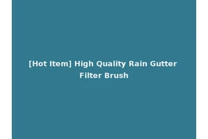 [Hot Item] High Quality Rain Gutter Filter Brush