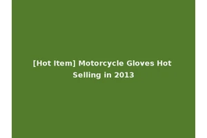 [Hot Item] Motorcycle Gloves Hot Selling in 2013