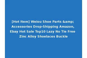 [Hot Item] Weiou Shoe Parts &amp; Accessories Drop-Shipping Amazon, Ebay Hot Sale Top10 Lazy No Tie Free Zinc Alloy Shoelaces Buckle