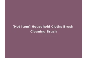 [Hot Item] Household Cloths Brush Cleaning Brush