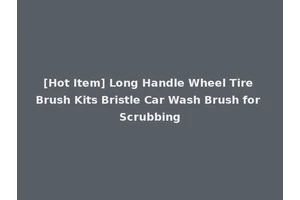 [Hot Item] Long Handle Wheel Tire Brush Kits Bristle Car Wash Brush for Scrubbing