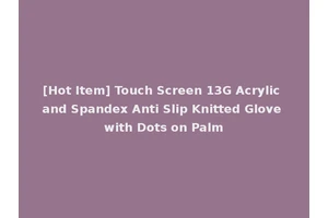 [Hot Item] Touch Screen 13G Acrylic and Spandex Anti Slip Knitted Glove with Dots on Palm
