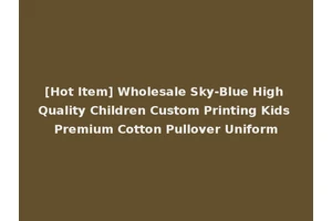 [Hot Item] Wholesale Sky-Blue High Quality Children Custom Printing Kids Premium Cotton Pullover Uniform