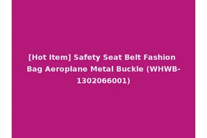 [Hot Item] Safety Seat Belt Fashion Bag Aeroplane Metal Buckle (WHWB-1302066001)