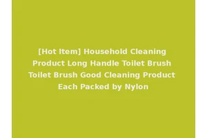 [Hot Item] Household Cleaning Product Long Handle Toilet Brush Toilet Brush Good Cleaning Product Each Packed by Nylon