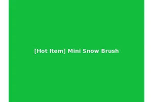 [Hot Item] Mini Snow Brush