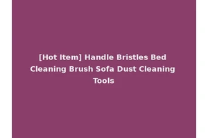 [Hot Item] Handle Bristles Bed Cleaning Brush Sofa Dust Cleaning Tools