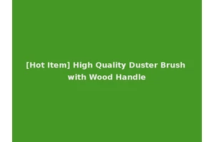 [Hot Item] High Quality Duster Brush with Wood Handle