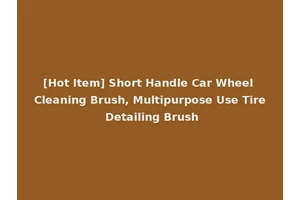 [Hot Item] Short Handle Car Wheel Cleaning Brush, Multipurpose Use Tire Detailing Brush