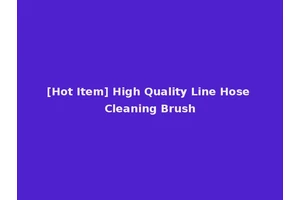 [Hot Item] High Quality Line Hose Cleaning Brush