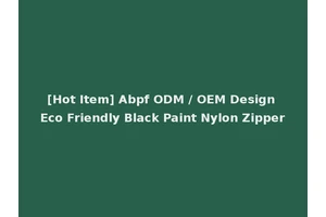 [Hot Item] Abpf ODM / OEM Design Eco Friendly Black Paint Nylon Zipper