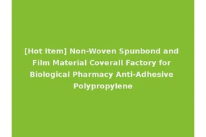 [Hot Item] Non-Woven Spunbond and Film Material Coverall Factory for Biological Pharmacy Anti-Adhesive Polypropylene