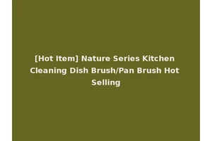 [Hot Item] Nature Series Kitchen Cleaning Dish Brush/Pan Brush Hot Selling