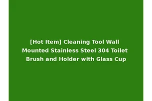 [Hot Item] Cleaning Tool Wall Mounted Stainless Steel 304 Toilet Brush and Holder with Glass Cup