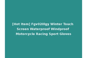 [Hot Item] Fgv020lgy Winter Touch Screen Waterproof Windproof Motorcycle Racing Sport Gloves