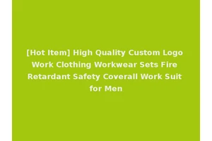 [Hot Item] High Quality Custom Logo Work Clothing Workwear Sets Fire Retardant Safety Coverall Work Suit for Men