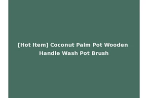[Hot Item] Coconut Palm Pot Wooden Handle Wash Pot Brush