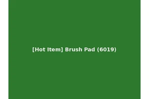 [Hot Item] Brush Pad (6019)