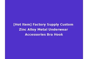 [Hot Item] Factory Supply Custom Zinc Alloy Metal Underwear Accessories Bra Hook