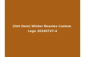 [Hot Item] Winter Beanies Custom Logo 20240727-4