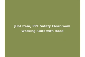 [Hot Item] PPE Safety Cleanroom Working Suits with Hood