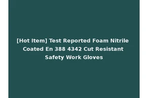 [Hot Item] Test Reported Foam Nitrile Coated En 388 4342 Cut Resistant Safety Work Gloves
