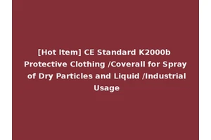 [Hot Item] CE Standard K2000b Protective Clothing /Coverall for Spray of Dry Particles and Liquid /Industrial Usage