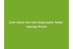 [Hot Item] Hot Sell Disposable Toilet Sponge Brush