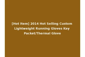 [Hot Item] 2014 Hot Selling Custom Lightweight Running Gloves Key Packet/Thermal Glove