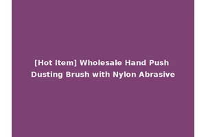 [Hot Item] Wholesale Hand Push Dusting Brush with Nylon Abrasive