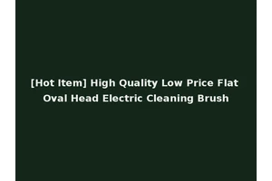[Hot Item] High Quality Low Price Flat Oval Head Electric Cleaning Brush