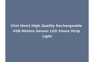 [Hot Item] High Quality Rechargeable USB Motion Sensor LED Shoes Strip Light