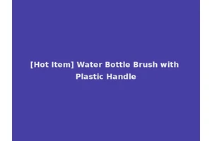 [Hot Item] Water Bottle Brush with Plastic Handle