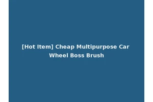 [Hot Item] Cheap Multipurpose Car Wheel Boss Brush