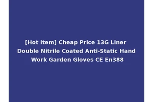 [Hot Item] Cheap Price 13G Liner Double Nitrile Coated Anti-Static Hand Work Garden Gloves CE En388