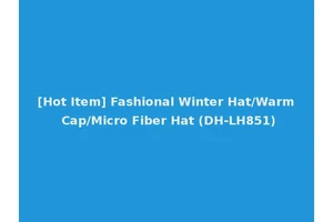 [Hot Item] Fashional Winter Hat/Warm Cap/Micro Fiber Hat (DH-LH851)