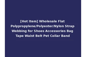 [Hot Item] Wholesale Flat Polypropylene/Polyester/Nylon Strap Webbing for Shoes Accessories Bag Tape Waist Belt Pet Collar Band