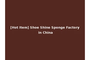 [Hot Item] Shoe Shine Sponge Factory in China