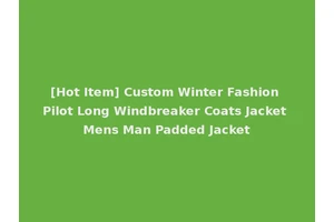[Hot Item] Custom Winter Fashion Pilot Long Windbreaker Coats Jacket Mens Man Padded Jacket