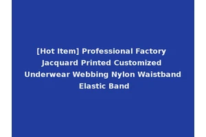 [Hot Item] Professional Factory Jacquard Printed Customized Underwear Webbing Nylon Waistband Elastic Band