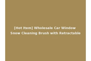 [Hot Item] Wholesale Car Window Snow Cleaning Brush with Retractable