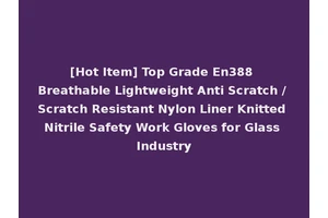 [Hot Item] Top Grade En388 Breathable Lightweight Anti Scratch / Scratch Resistant Nylon Liner Knitted Nitrile Safety Work Gloves for Glass Industry