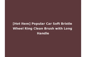 [Hot Item] Popular Car Soft Bristle Wheel Ring Clean Brush with Long Handle