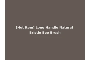 [Hot Item] Long Handle Natural Bristle Bee Brush