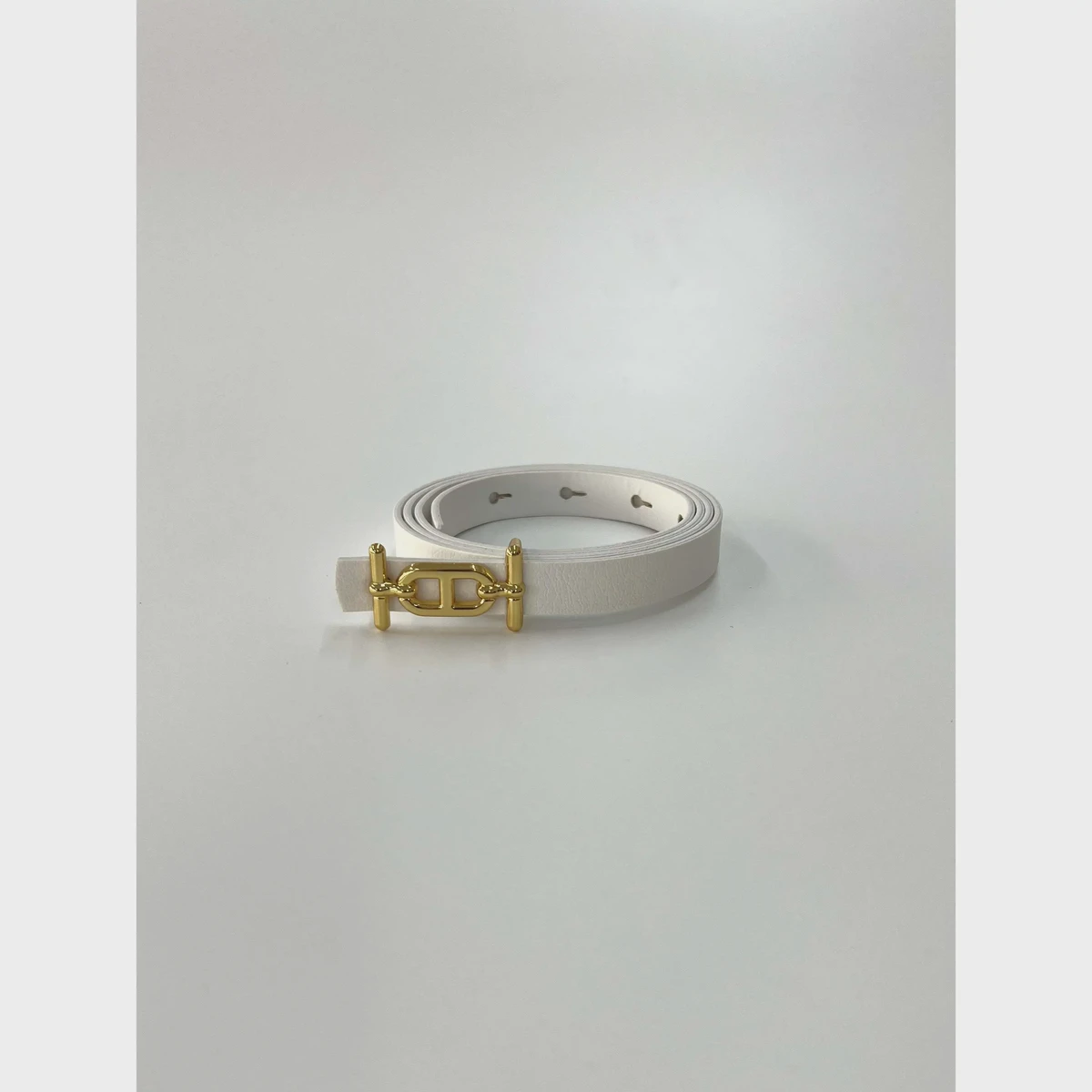 Thin Metal Belt with Elegant Gold Buckle